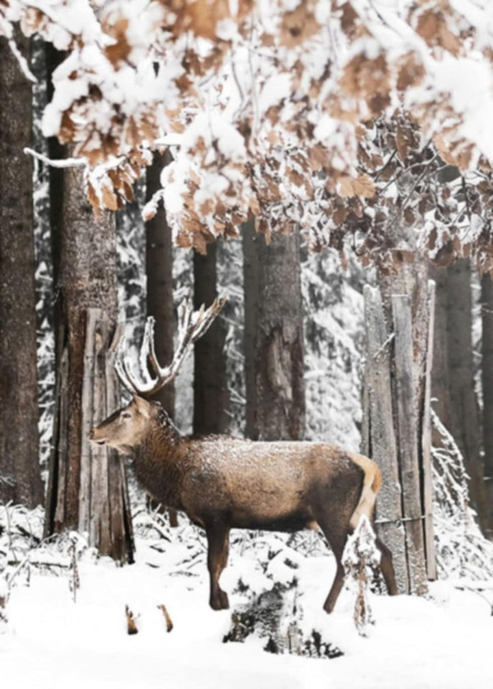 TROYSINC 3er Premium Poster Set, Winter Bilder, Elch, Holzhaus, Wald Wandkunst Wandbilder, Leinwand