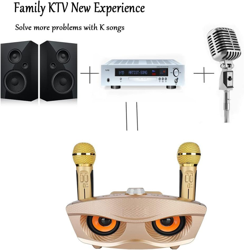Annadue Karaoke Mikrofon zum Singen, Home Bluetooth Audio Karaokemaschine mit Zwei Mikrofonen, Tragb