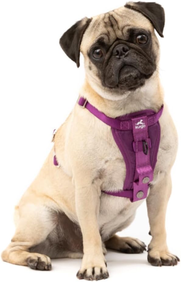 Kurgo Tru-Fit Hundegeschirr, Crash-Test-erprobtes Auto-Sicherheitsgurt, Für Hunde von 2 bis 5 kg, Gr