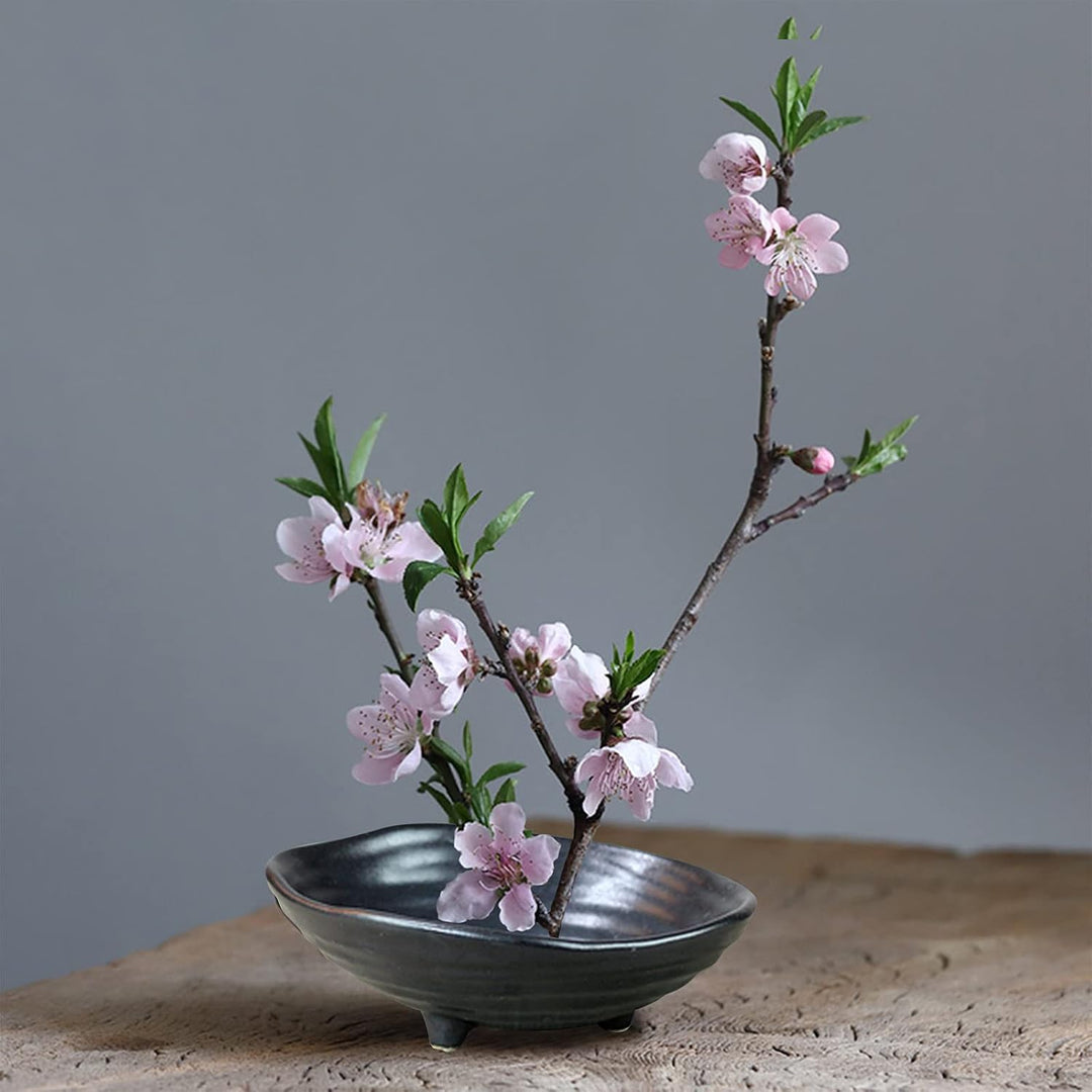 CRAFFANCY Blumentopf, unregelmässiger Mini-Blumentopf aus Keramik mit 4,6 cm grosser Frosch und weis