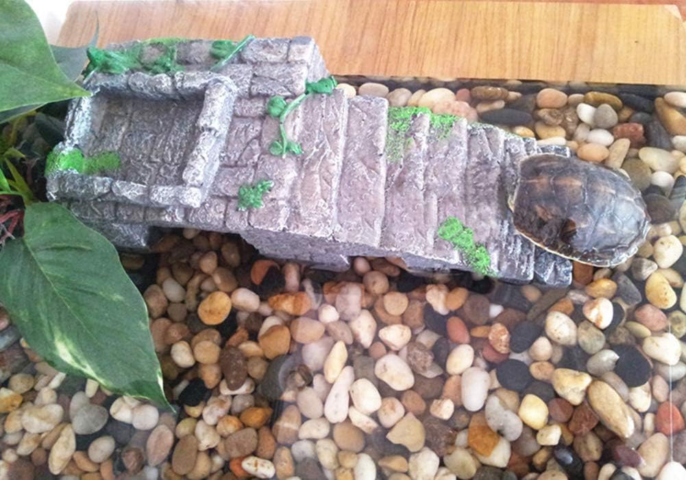 OMEM Aufzuchthaus für Reptilien - Terrariumdekoration - Rampe für Erwärmung und Wasser, L