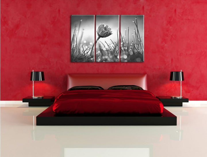 Pixxprint Gänseblümchen im Gras / 3-Teilig/Gesamtmass 120cm Leinwandbild bespannt auf Holzrahmen/Wan