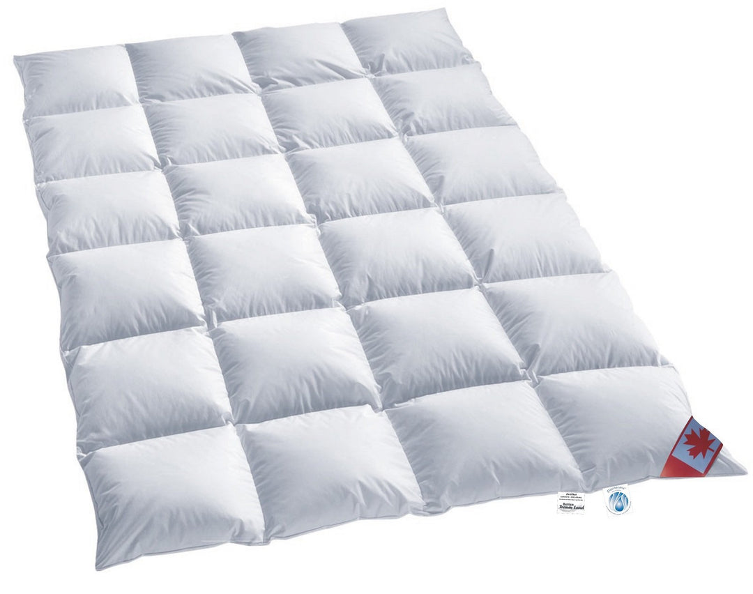 Canada warmes Winter 4-cm Daunen Kassettenstegbett Daunenbett Canada 100% Daune 100% Natur Daunendec