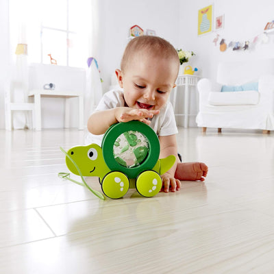 Hape Nachziehschildkröte Tito | Holzspielzeug mit getrennt verwendbarem Schildkrötenpanzer Spielzeug