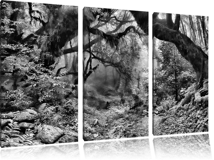 Pixxprint Mystischer Regenwald als Leinwandbild | Grösse: 3 Teilig (120x80) | Wandbild| Kunstdruck |