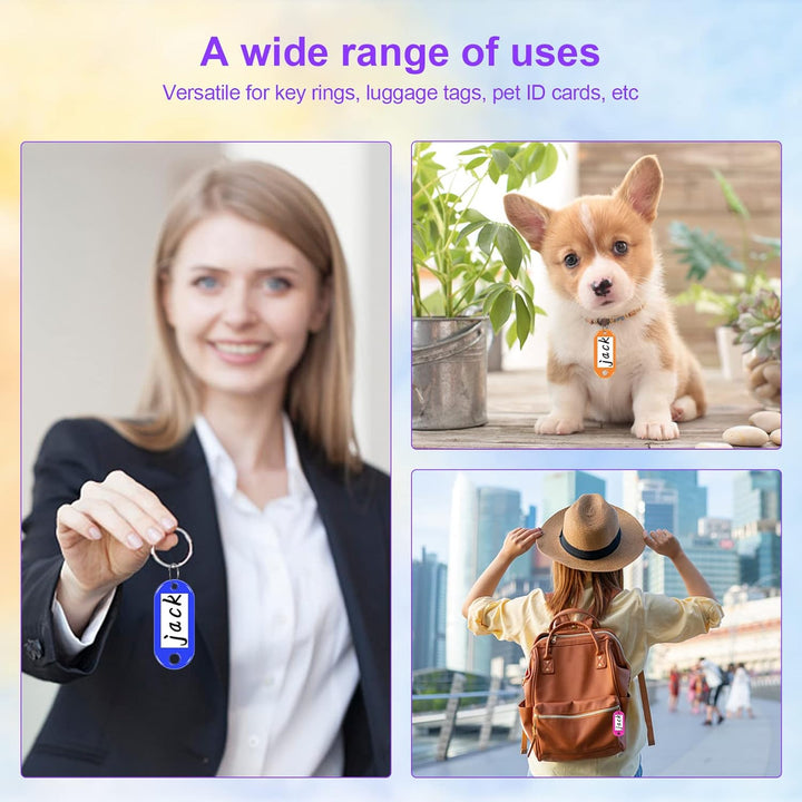 Wedo 10242437 Schlüsselschrank für 24 Schlüssel, 18,6 x 9,4 x 25 cm, Hellgrau & Schlüsselanhänger, 3