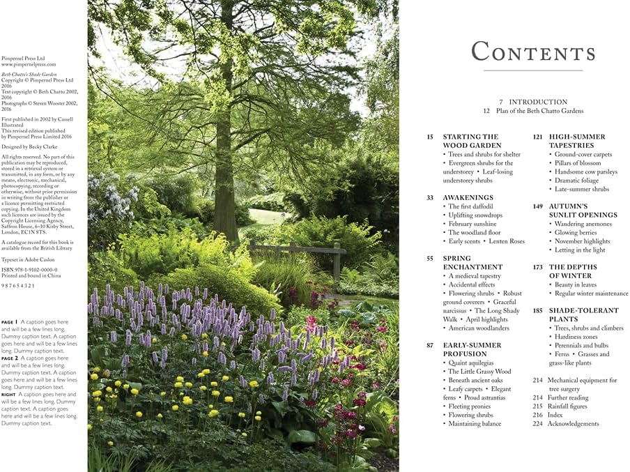 Pimpernel Press Beth Chatto's Shade Garden: Shade-Loving Plants for Year-Round Interest