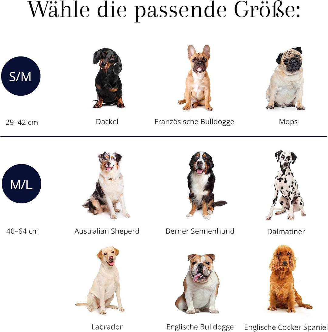 VELVETIER® Paris | Halsband Hund im Set mit Leine & Beutelspender | Veganes Leder | Hunde Halsbänder