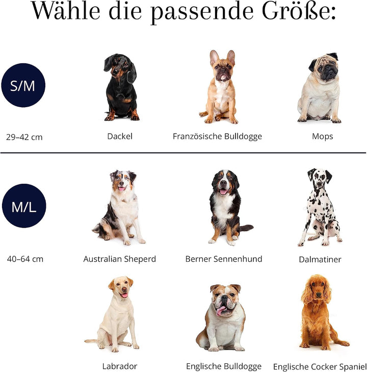 VELVETIER® "Paris" | Halsband Hund im Set mit Leine &amp; Beutelspender | Veganes Leder | Hunde Halsbänd