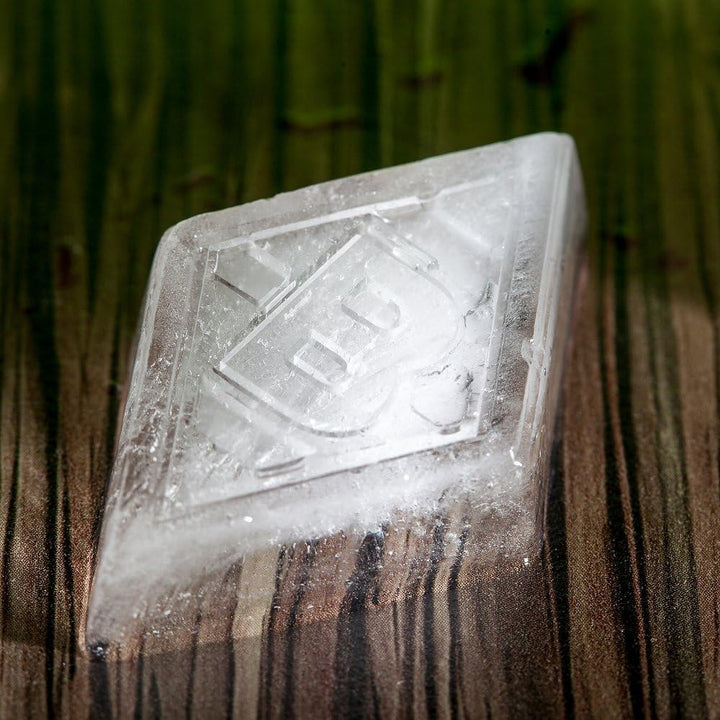 Borussia Mönchengladbach Eiswürfelform | Offizieller Fanartikel Fohlenshop | 12 Eiswürfel mit Verein