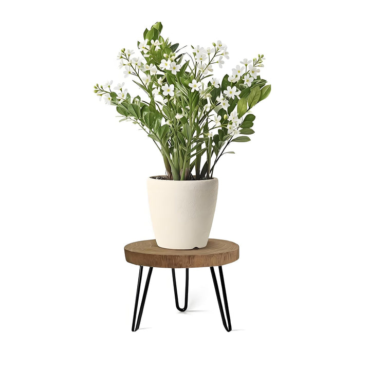 Pflanzenständer Holz, Blumenständer Schwarz Pflanzenständer Blumenhocker Holz Pflanzenhocker mit 3 F