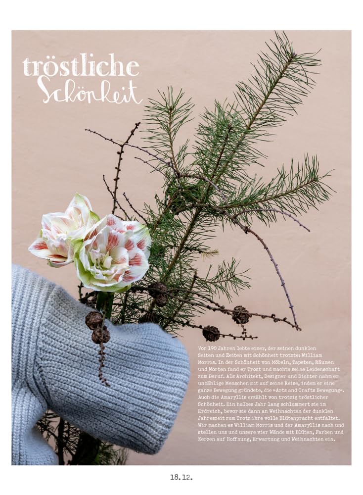 Lichtungen Advent 2024: Adventskalender mit kreativen Ideen, Rezepten, Handlettering, Upcycling-Tipp
