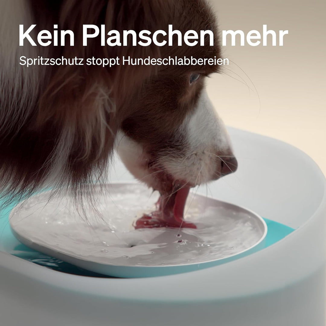 PETLIBRO Trinkbrunnen für Hunde und Katze, 8L Wasserbrunnen, Anti-Spill Guard,Hundewasserspender 26d