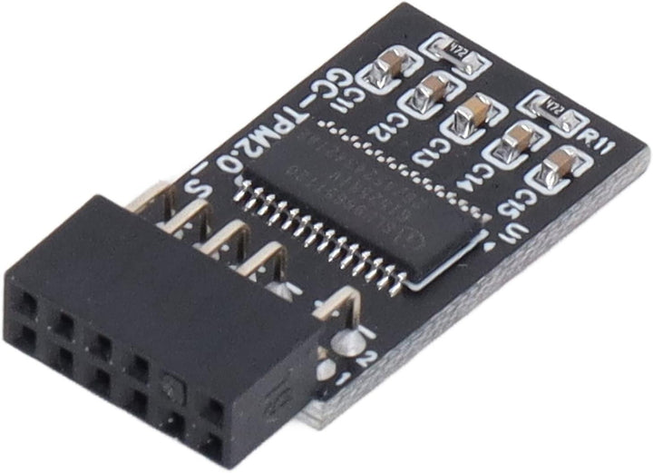 TPM 2.0 Modul LPC SPI 12 Pin Remote Card Encryption Security Board, Zubehör Kompatibel mit Plattform