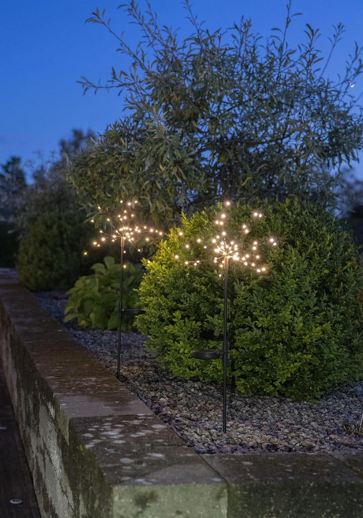Star Trading 481-91 LED-Solar-Dekoration "Firework", 2er Pack schwarz, je 45 warmwhite LED, ca. 25x6