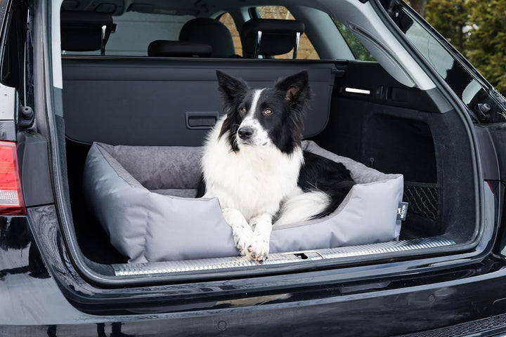 BedDog Hundebett LUPI, Hundekissen mit abziehbaren waschbaren Bezug, Hundekorb, Hundesofa, für mitte