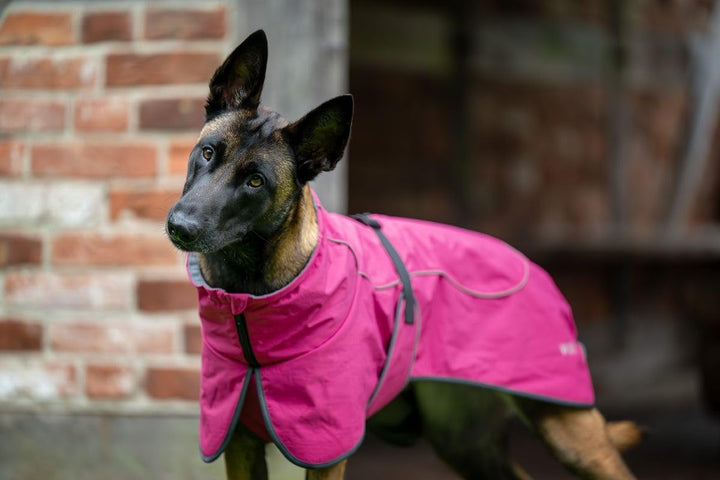 Wolters Hundejacke Cape Drizzle | Ganzjahresjacke für Hunde in der Farbe Magenta | Grösse 38 (Rücken