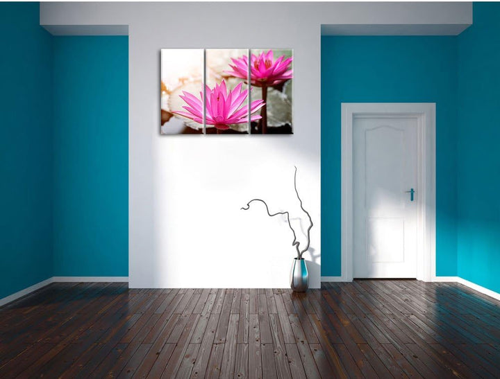 Pixxprint Lilafarbene Wasserlilie als Leinwandbild | Grösse: 3 Teilig (120x80) | Wandbild| Kunstdruc