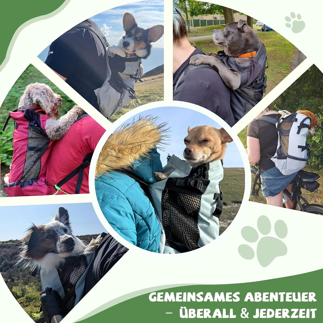 ALLSOPETS Hunderucksack Tragetasche Verstellbar für Kleine Mittelgrosse Hunde, Haustier Rucksack zum