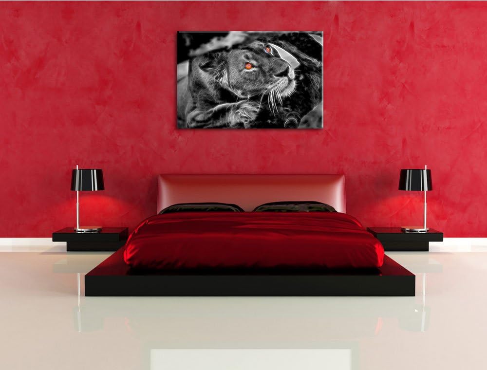 anpirschende listige Löwin schwarz/weiss Deluxe Format: 100x70 cm auf Leinwand, XXL riesige Bilder f