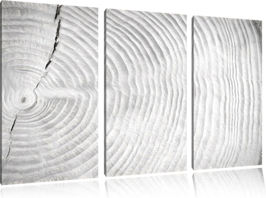 Pixxprint Baumstamm Jahresringe als Leinwandbild/Grösse: 3 Teilig (120x80) cm/Wandbild/Kunstdruck/fe