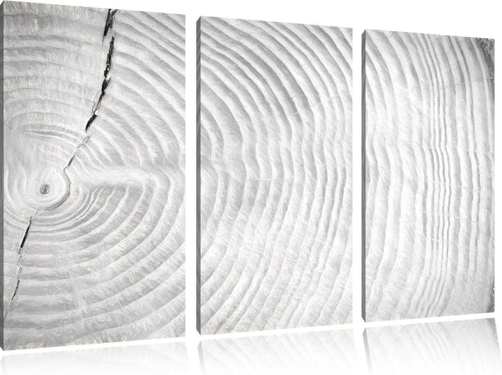 Pixxprint Baumstamm Jahresringe als Leinwandbild/Grösse: 3 Teilig (120x80) cm/Wandbild/Kunstdruck/fe