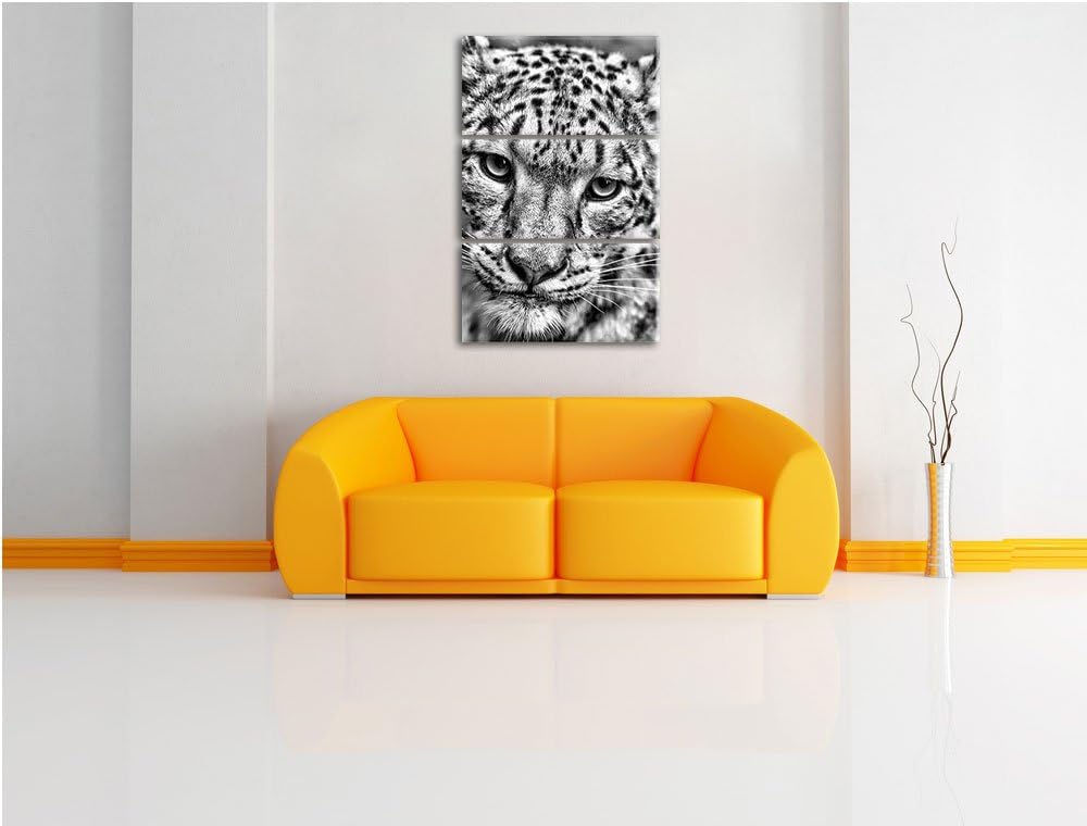 Pixxprint eleganter Schneeleopard als Leinwandbild/Grösse: 3 Teilig (120x80) cm/Wandbild/Kunstdruck/