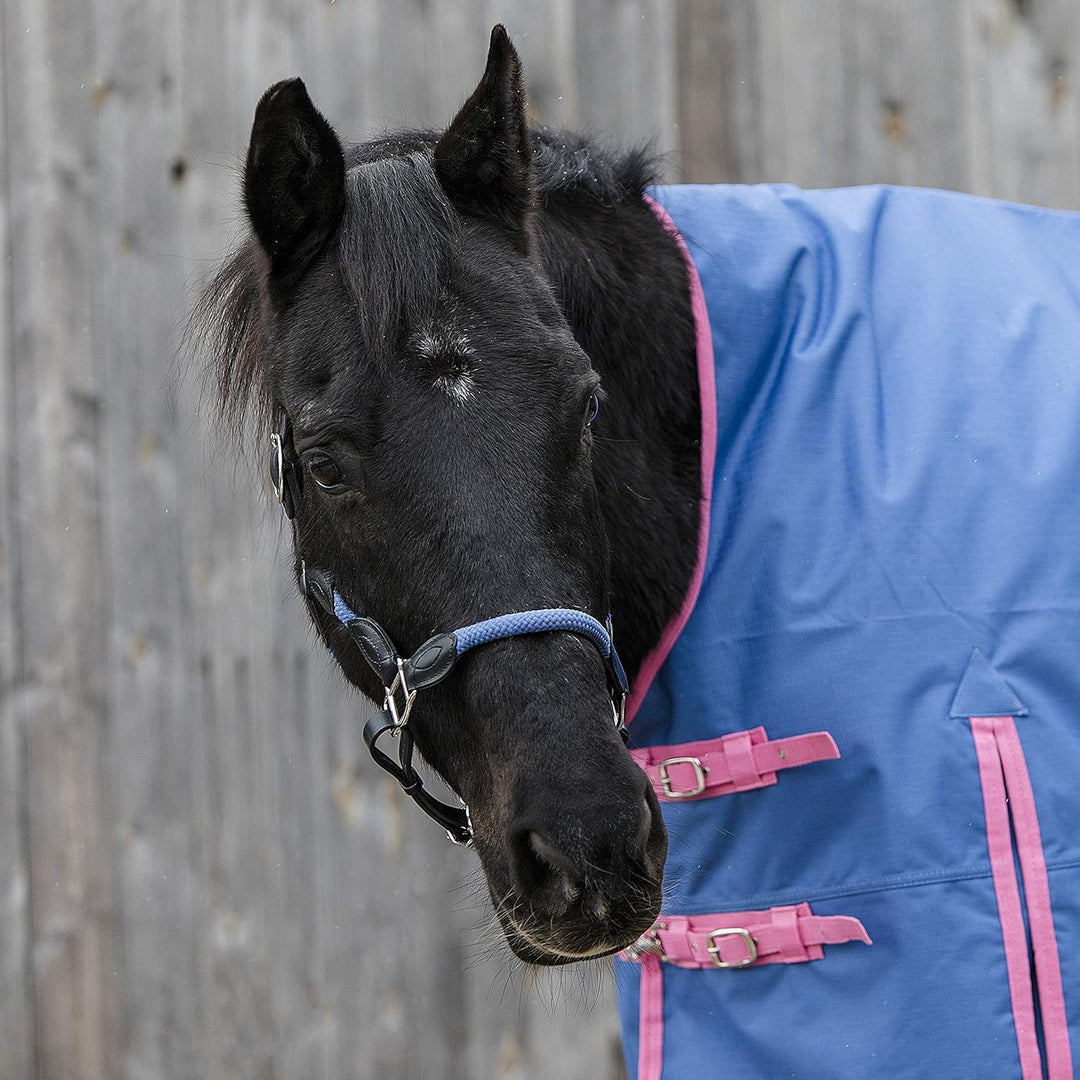 indira Seil-Leder-Halfter pro Flex PP-Strick-Echtleder (Pony, Blau 01) Pony Blau 01, Pony Blau 01