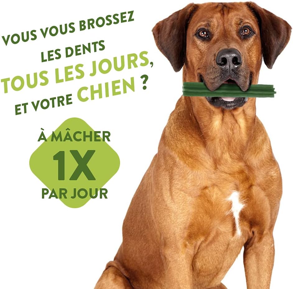 WHIMZEES by Wellness Stix, natürliche & by Wellness Reisknochen, natürliche, glutenfreie Zahnpfleges