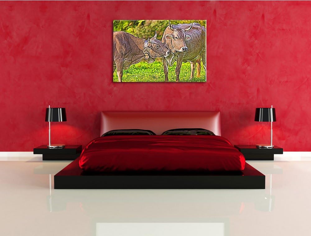 Kuhbullen auf Weide Deluxe Format: 100x70 cm auf Leinwand, XXL riesige Bilder fertig gerahmt mit Kei