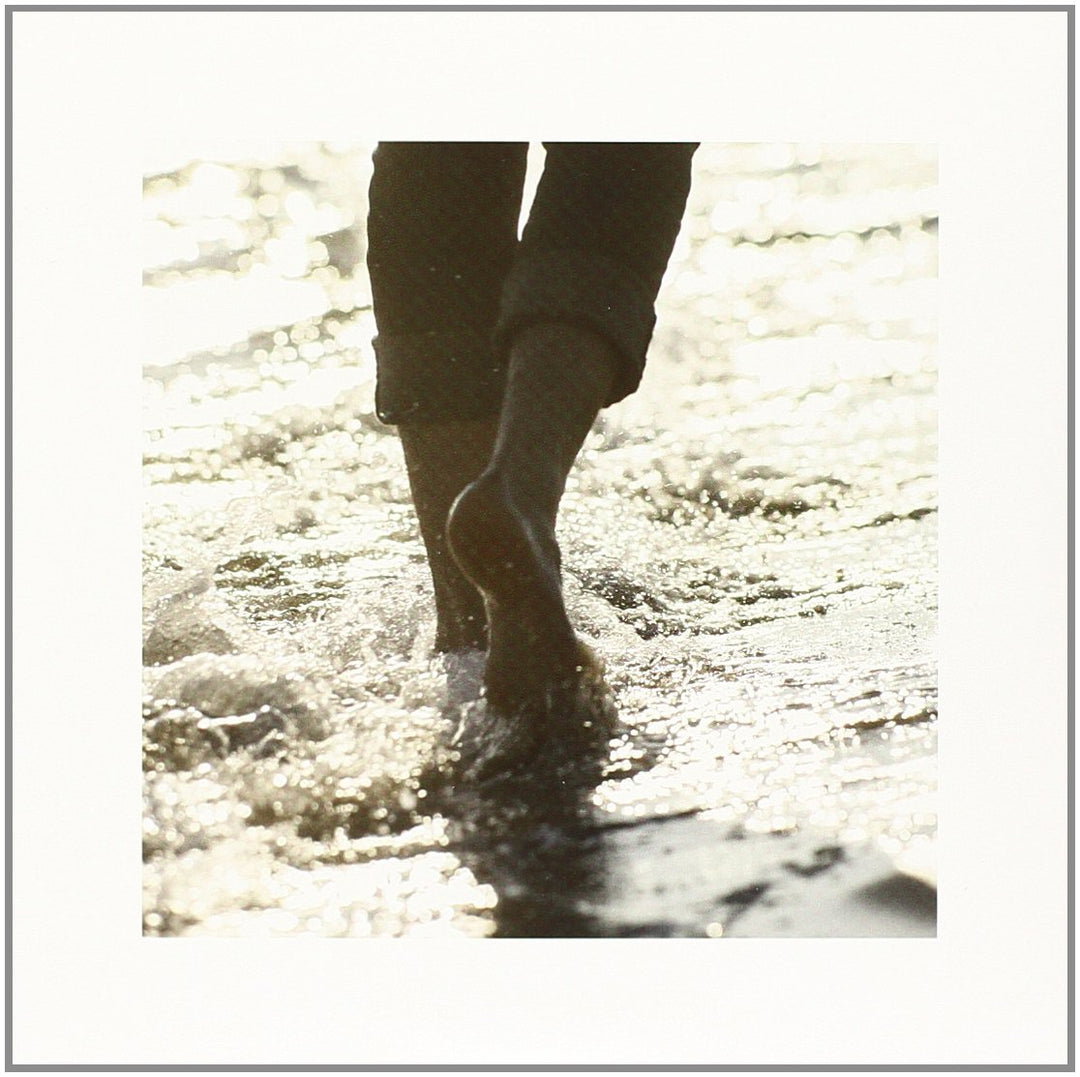 Shelter (Complete Box), Audio-CD