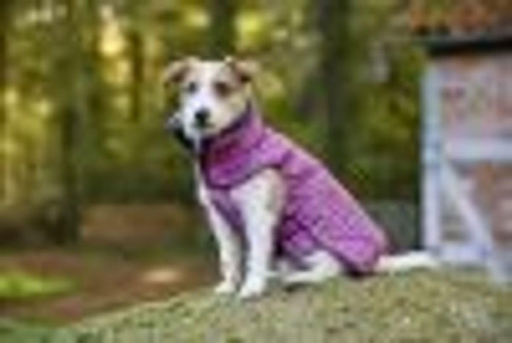 Wolters Winterjacke Amundsen | Wintermantel für Hunde – warm, wasserdicht | Farbe Himbeer | Gr. 26 (