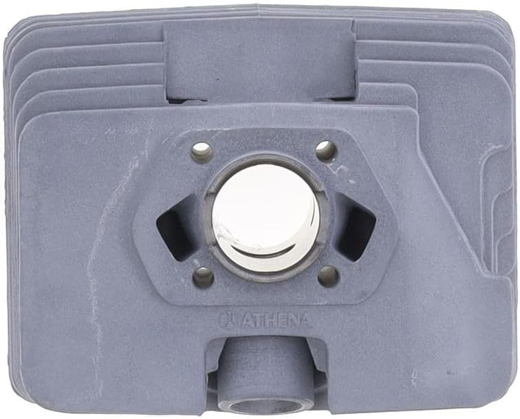 Athena 003300 Zylinder Kit für Fammel