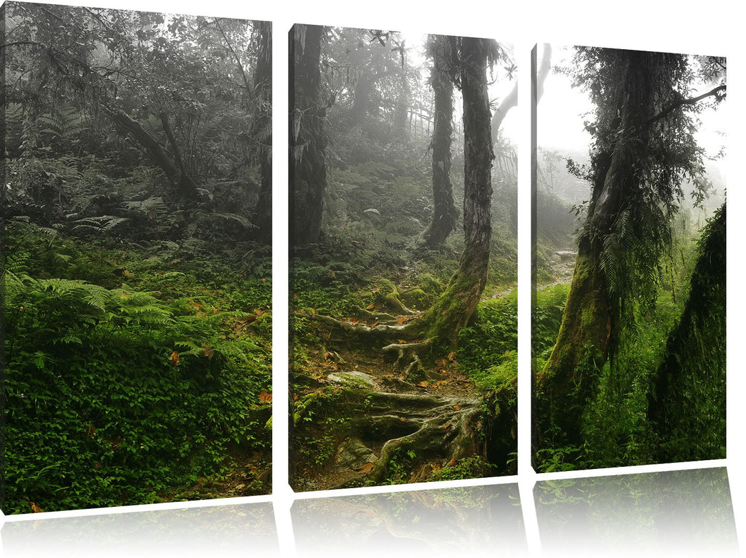 Pixxprint Unberührter Regenwald Schwarz/Weiss 3-Teiler Leinwandbild 120x80 Bild auf Leinwand