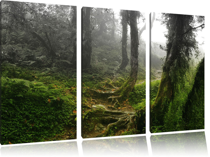 Pixxprint Unberührter Regenwald Schwarz/Weiss 3-Teiler Leinwandbild 120x80 Bild auf Leinwand