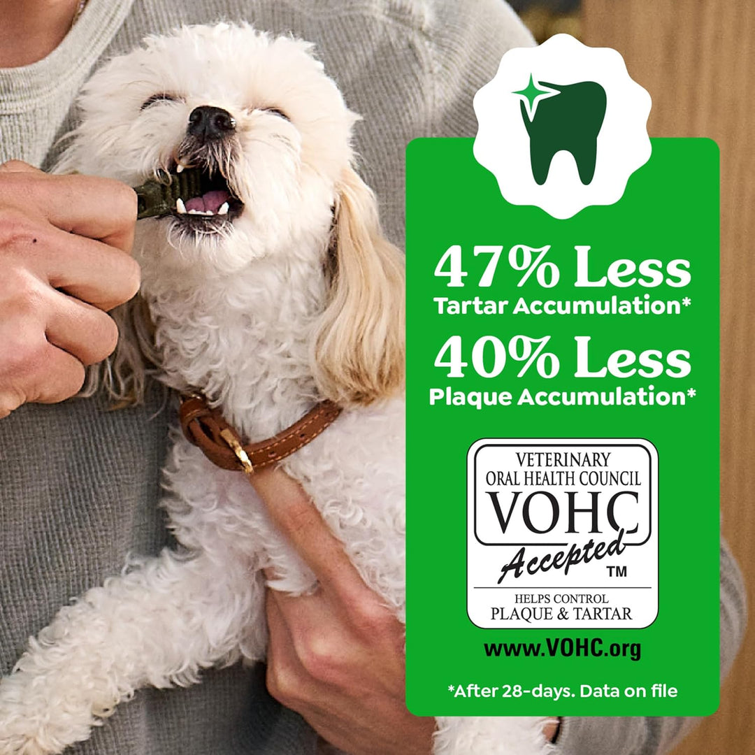 Greenies Original Hundesnacks für die Zähne 1 stück (65er Pack), 1 stück (65er Pack)