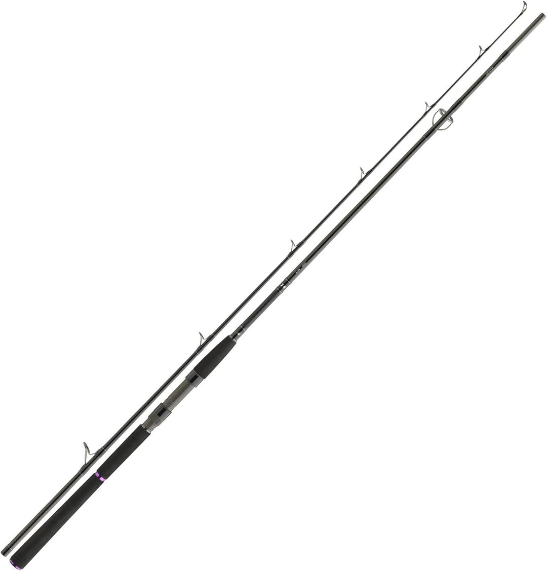 Daiwa Prorex Spinnrute X Big Bait 2,40m 165g, 2,40m 165g