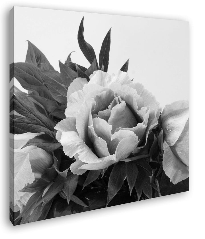 deyoli schöner Blumenstrauss mit Pfingstrosen im Format: 70x70 Effekt: Schwarz&Weiss als Leinwandbil