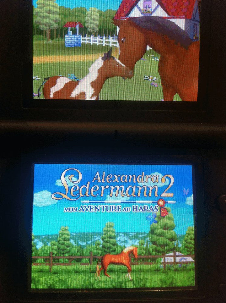 ALEXANDRA LEDERMANN 2, Mon Aventure au Haras by UBI Soft
