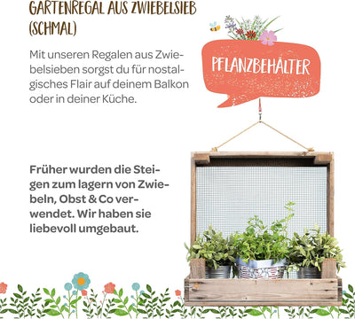 Die Stadtgärtner – Gartenregal aus rustikalem Zwiebelsieb (schmale Version) I Hochwertiges Blumen- &