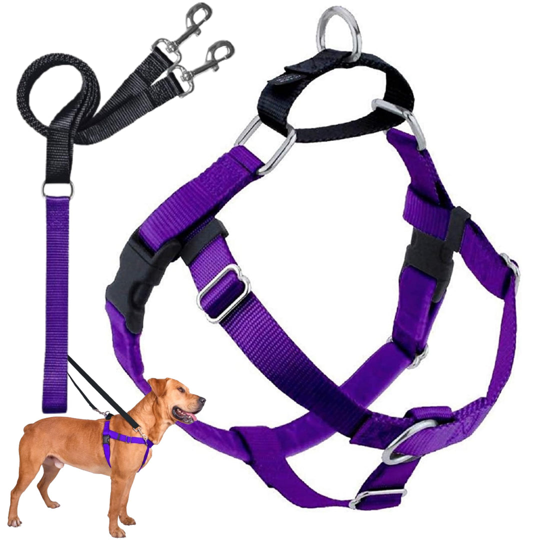 2 Hounds Design 818557022297 No-Pull Dog Harness with LeashX-Large (1 Zoll Wide) XLPurple, Purple