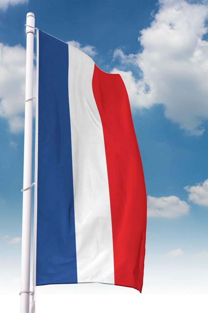 Deitert Bundesland-Flagge Schleswig-Holstein – 150x400 cm Schleswig-Holstein Fahne ohne Wappen im Ho
