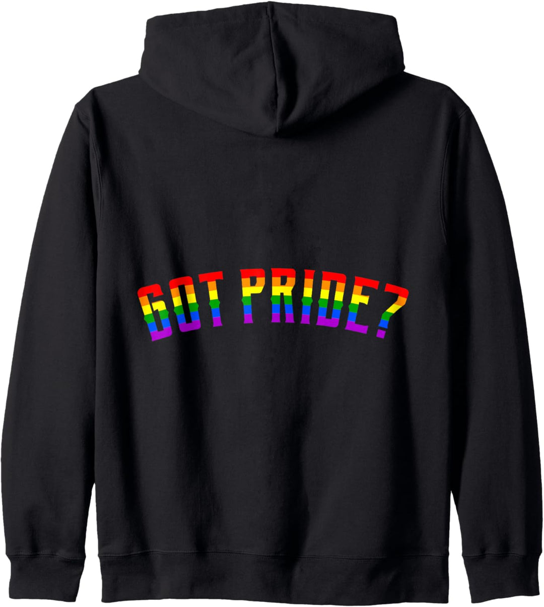 GOT PRIDE LGBT Pride Gay Pride Month LGBTQ Flagge Kapuzenjacke