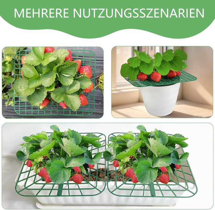ANGTUO 10 Stück Quadratisch Erdbeerreifer Gartenzubehör Schneckenschutz Erdbeerstützen Schutz Gemüse