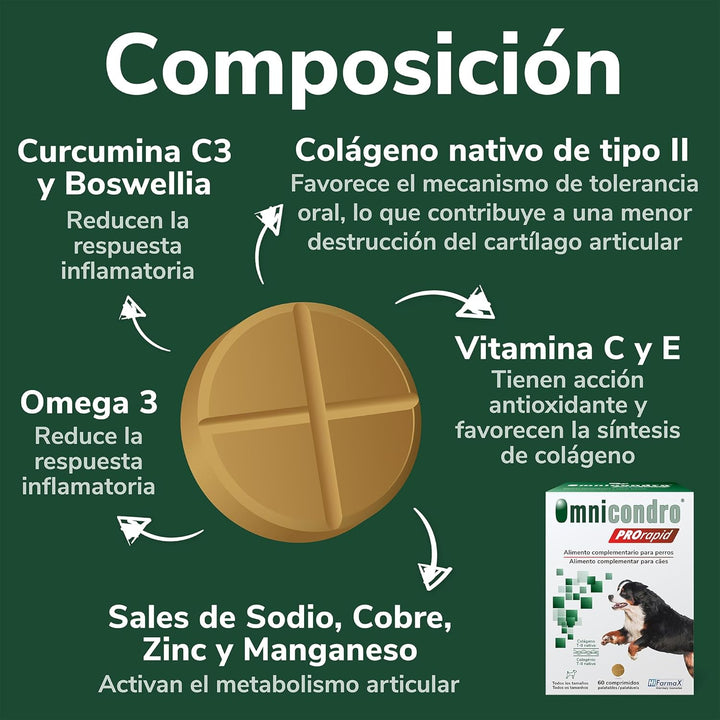 Hifarmax OMNICONDRO PRORAPID Perros 60CPD, Schwarz, Normal