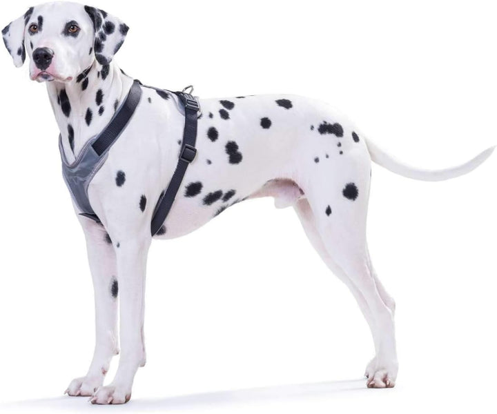 HUNTER NEOPREN Hundegeschirr, Nylon, gepolstert mit Neopren, S 42 - 53 cm, grau grau 42 - 53 cm, gra