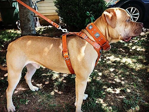 Bestia |EROS| Leder Brustgeschirr für grosse Hunde. Bis 145 cm Brustumfang. 100% Leder. Handgefertig