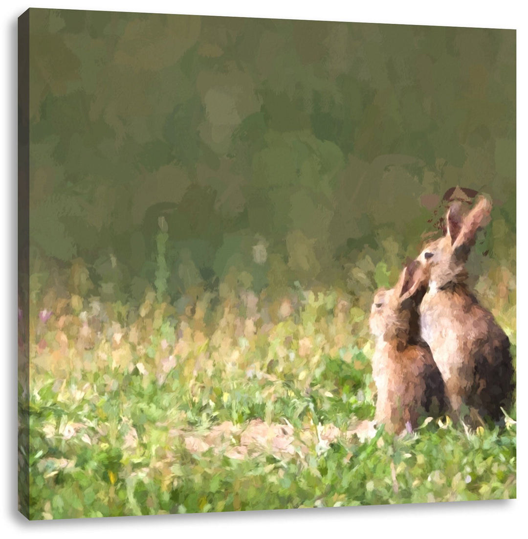Pixxprint Hasen auf Wiese als Leinwandbild/Grösse: 70x70 cm/Wandbild/Kunstdruck/fertig bespannt, 70x