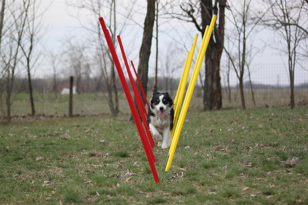 Wuzzmann Agility-ÜBUNGS-Slalom-Set ROT/GELB, 12 RUNDE STANGEN