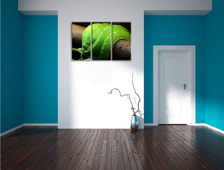 Pixxprint Grüne exotische Schlange als Leinwandbild/Grösse: 3 Teilig (120x80 cm) cm/Wandbild/Kunstdr